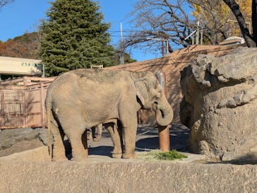 日立市かみね動物園に投稿された画像（2025/12/7）