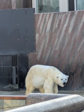 恩賜上野動物園に投稿された画像（2025/12/7）