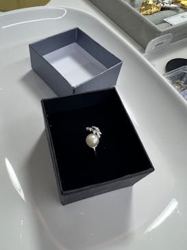 三重県真珠に投稿された画像（2025/12/7）