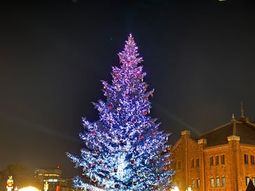 Christmas Market in 横浜赤レンガ倉庫 2025に投稿された画像（2025/12/7）