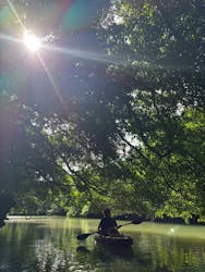 ひかりオーシャンズに投稿された画像（2025/12/7）