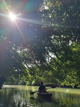 ひかりオーシャンズに投稿された画像（2025/12/7）