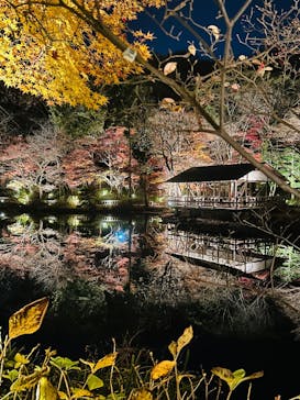 名古屋市東山動植物園に投稿された画像（2025/12/7）