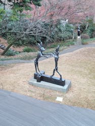 彫刻の森美術館に投稿された画像（2025/12/7）