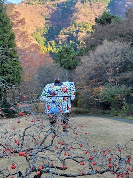 彫刻の森美術館に投稿された画像（2025/12/7）