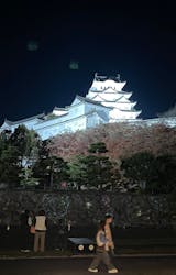 Himeji Castle of Light『DANDELION PROJECT 姫路城×NAKED, INC.』に投稿された画像（2025/12/7）
