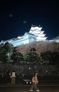 Himeji Castle of Light『DANDELION PROJECT 姫路城×NAKED, INC.』に投稿された画像（2025/12/7）