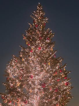 Christmas Market in 横浜赤レンガ倉庫 2025に投稿された画像（2025/12/7）