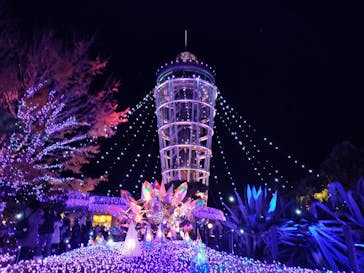 江の島シーキャンドルに投稿された画像（2025/12/7）