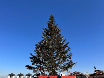 Christmas Market in 横浜赤レンガ倉庫 2025に投稿された画像（2025/12/7）