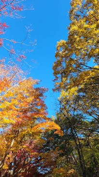 名古屋市東山動植物園に投稿された画像（2025/12/7）