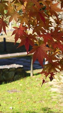 名古屋市東山動植物園に投稿された画像（2025/12/7）
