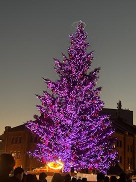 Christmas Market in 横浜赤レンガ倉庫 2025に投稿された画像（2025/12/7）