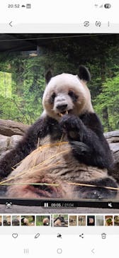 恩賜上野動物園に投稿された画像（2025/12/7）