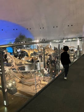 福井県立恐竜博物館に投稿された画像（2025/12/7）