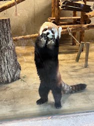 こども動物自然公園（埼玉県公園緑地協会）に投稿された画像（2025/12/7）