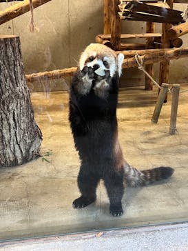 こども動物自然公園（埼玉県公園緑地協会）に投稿された画像（2025/12/7）