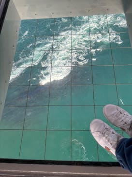 徳島県立 渦の道に投稿された画像（2025/12/7）