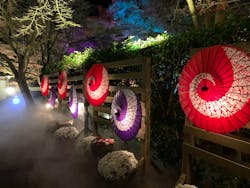 修善寺虹の郷に投稿された画像（2025/12/7）