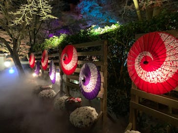 修善寺虹の郷に投稿された画像（2025/12/7）