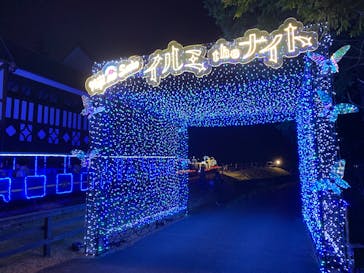 修善寺虹の郷に投稿された画像（2025/12/7）