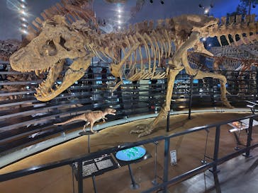 福井県立恐竜博物館に投稿された画像（2025/12/7）