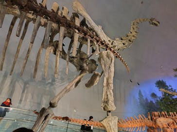 福井県立恐竜博物館に投稿された画像（2025/12/7）