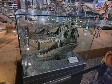 福井県立恐竜博物館に投稿された画像（2025/12/7）
