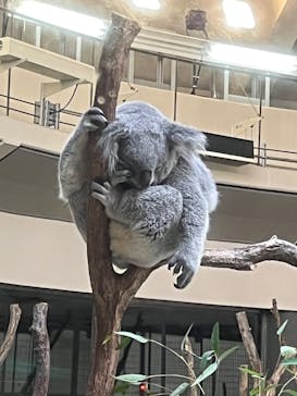 多摩動物公園に投稿された画像（2025/12/7）