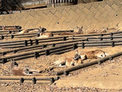 多摩動物公園に投稿された画像（2025/12/7）