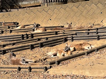 多摩動物公園に投稿された画像（2025/12/7）
