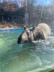 多摩動物公園に投稿された画像（2025/12/7）