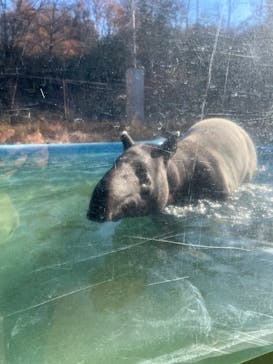 多摩動物公園に投稿された画像（2025/12/7）