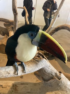 霞ケ浦 どうぶつとみんなのいえに投稿された画像（2025/12/7）