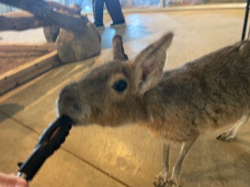 霞ケ浦 どうぶつとみんなのいえに投稿された画像（2025/12/7）