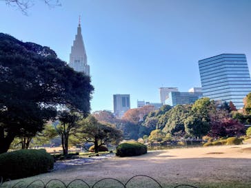 新宿御苑に投稿された画像（2025/12/7）