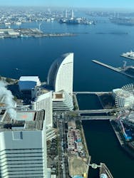 横浜ランドマークタワー 69階展望フロア スカイガーデンに投稿された画像（2025/12/7）