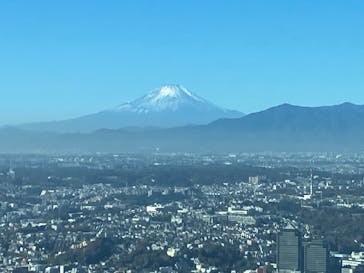 横浜ランドマークタワー 69階展望フロア スカイガーデンに投稿された画像（2025/12/7）