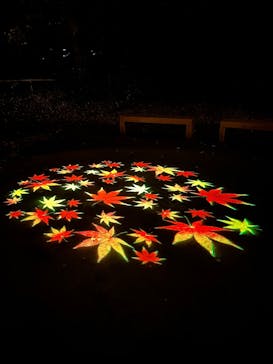 六義園に投稿された画像（2025/12/7）