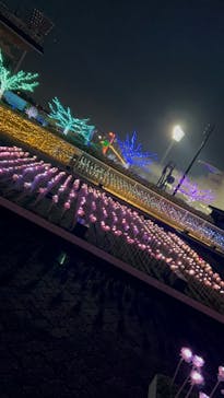 東京メガイルミに投稿された画像（2025/12/7）