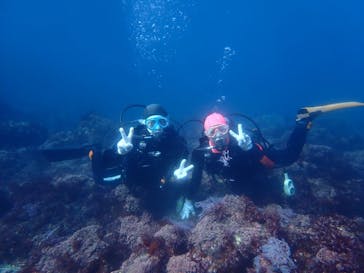 アクオス-イズに投稿された画像（2025/12/7）