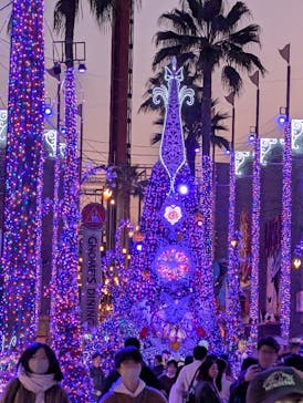 ひらかたパークに投稿された画像（2025/12/7）