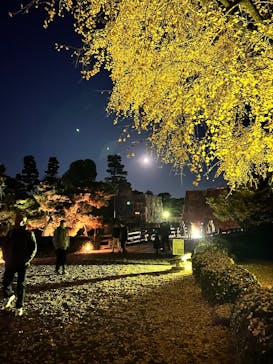 NAKED meets 二条城 2025 観月に投稿された画像（2025/12/7）