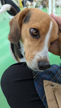 つくばわんわんランドに投稿された画像（2025/12/7）