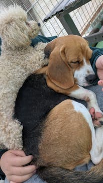 つくばわんわんランドに投稿された画像（2025/12/7）