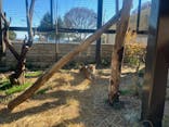日立市かみね動物園に投稿された画像（2025/12/7）