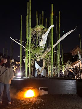 NAKED meets 二条城 2025 観月に投稿された画像（2025/12/7）