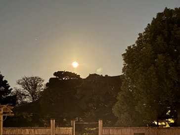 NAKED meets 二条城 2025 観月に投稿された画像（2025/12/7）