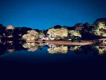 六義園に投稿された画像（2025/12/7）