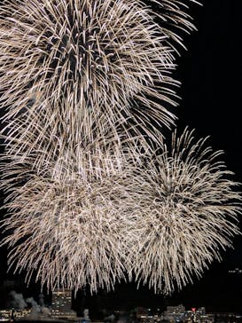 熱海マリンスポーツクラブに投稿された画像（2025/12/7）